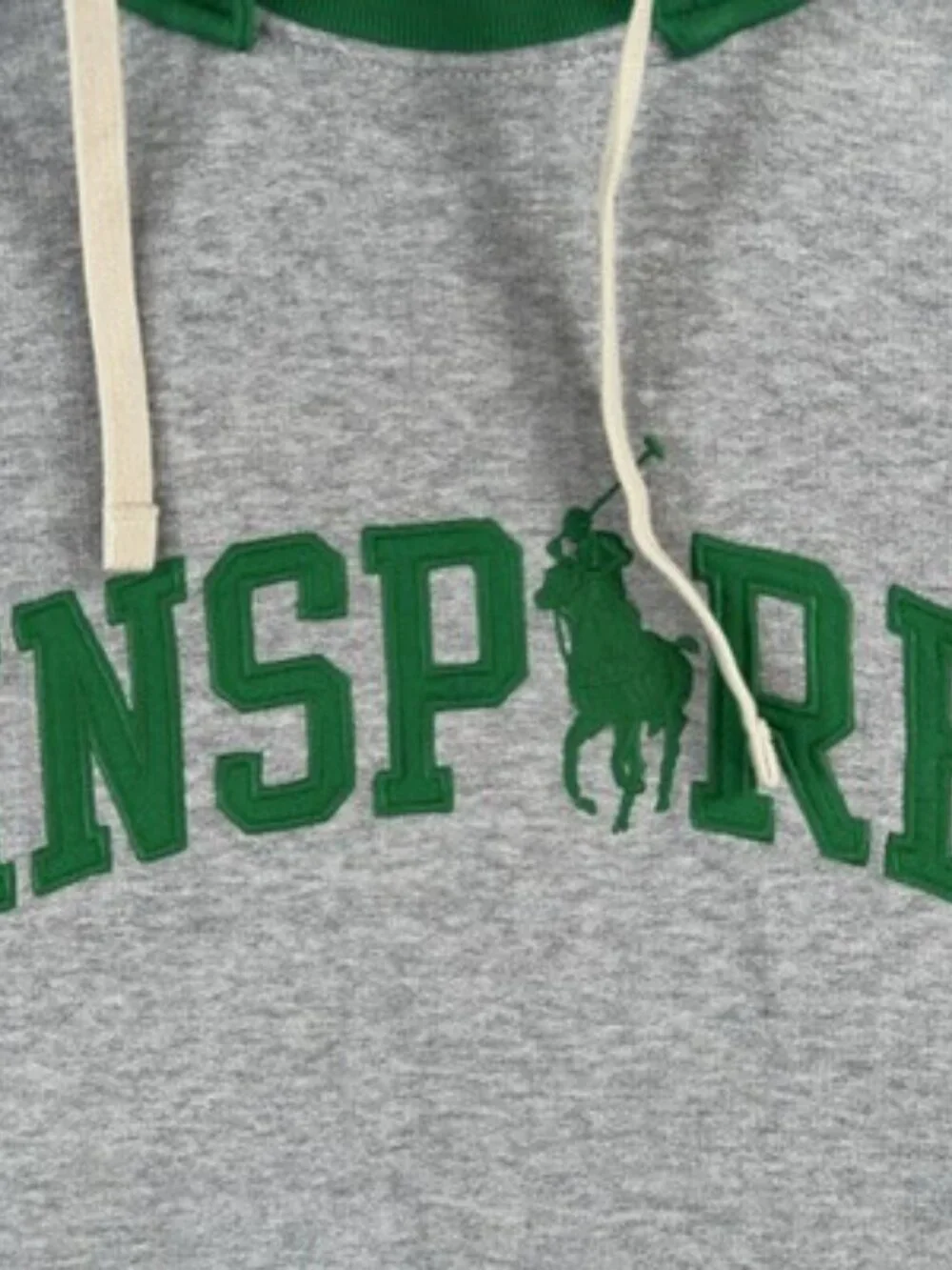 Polo Ralph Lauren Mens Large Inspire Colorblock Hoodie Spellout Gray Green NWOT